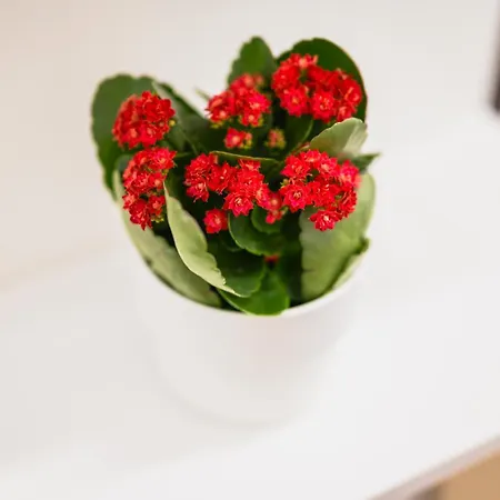 3 Vendégház Catania